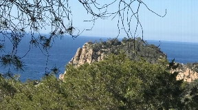 Plot for sale in Cala Salada with licence to build
