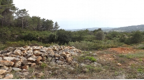 Large plot in San Juan with 198000m2 and licence for Blakstad villa