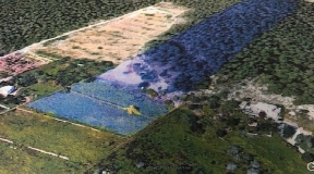 Amazing Plot with 37531 M2 close to Bambuda Restaurant in Santa Eulalia