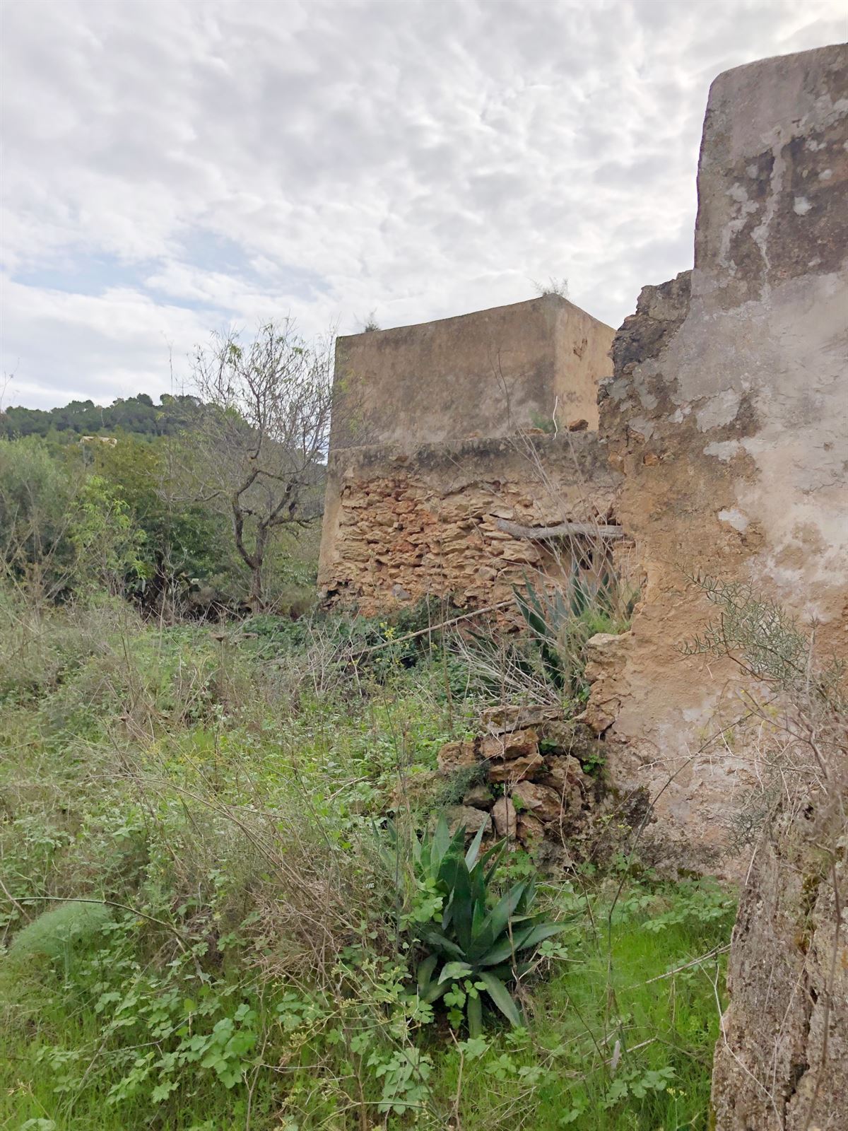 Big and ruined land of 72.000m² for sale in San Agustin