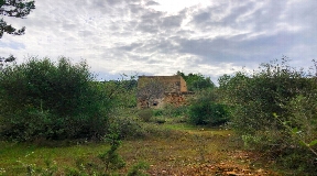 Big and ruined land of 72.000m² for sale in San Agustin