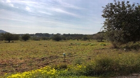 Nice plot offers a license for a 157 sqm house for sale