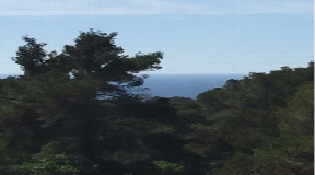 Land for sale  with project and licence in Cala Tarida