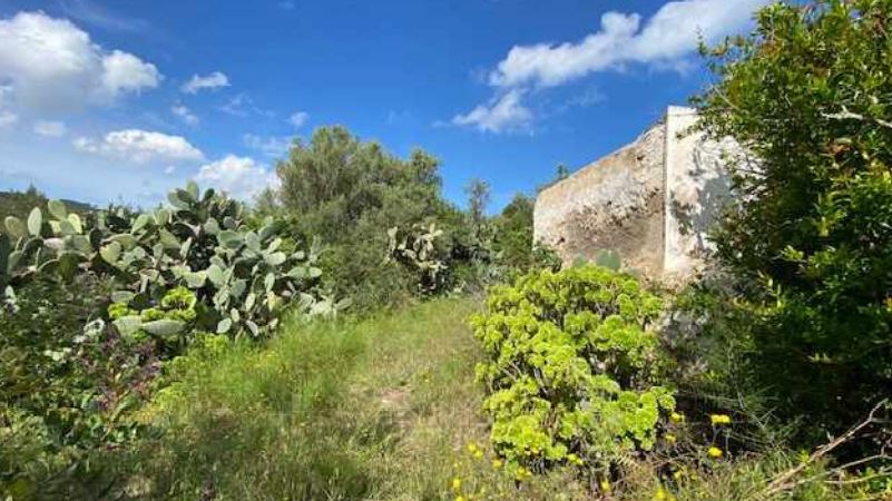 Old finca for sale with ocean views near to the beach