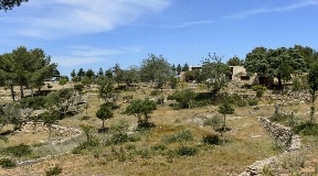 Authentic Ibizan finca situated in rural area between Jesús and Sta. Eulalia for sale