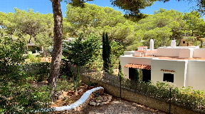Well cared cottage covered by pine forest set close to the beach