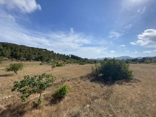 Superb 15.000 m2 plot is situated in San José for sale