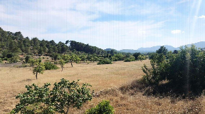 Superb 15.000 m2 plot is situated in San José for sale