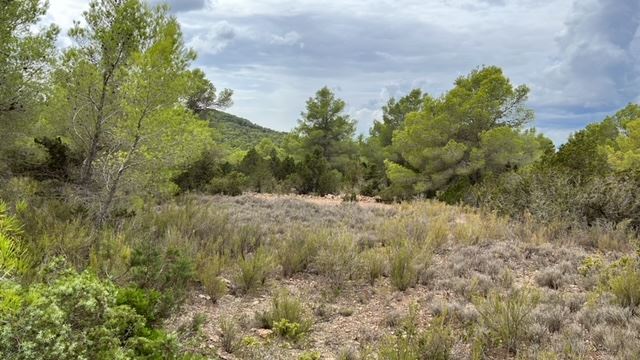 Wide land to build two nice villas with sea views in Cala Tarida for sale
