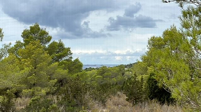 Wide land to build two nice villas with sea views in Cala Tarida for sale