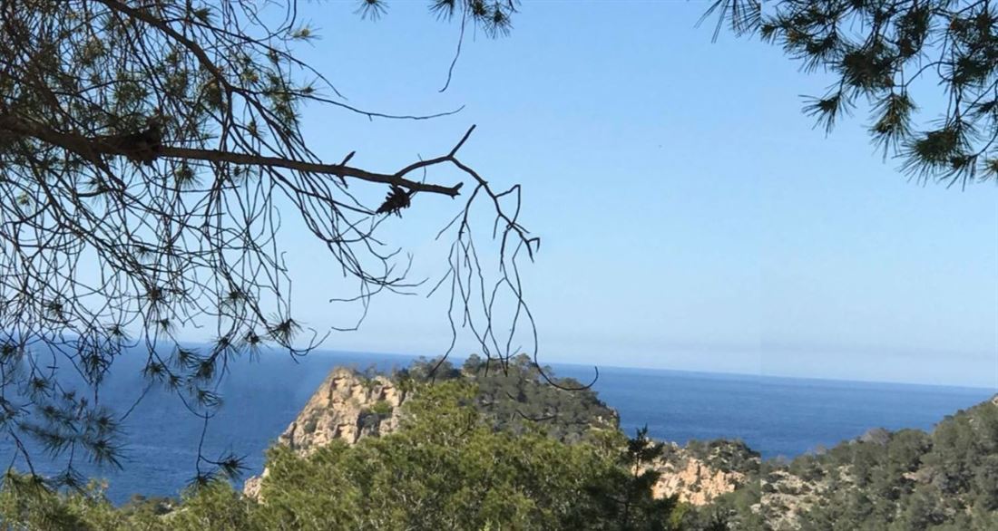 Nice plot in Cala Salada with license for sale