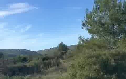 Wonderful plot for sale in Santa Gertrudis with 22.000 m2 for sale