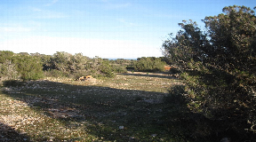 Plot with basic project approved for a single-family house in Cap de Barbaria Formentera