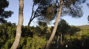 Wonderful plot with licence in Can furnet with partial sea view for sale
