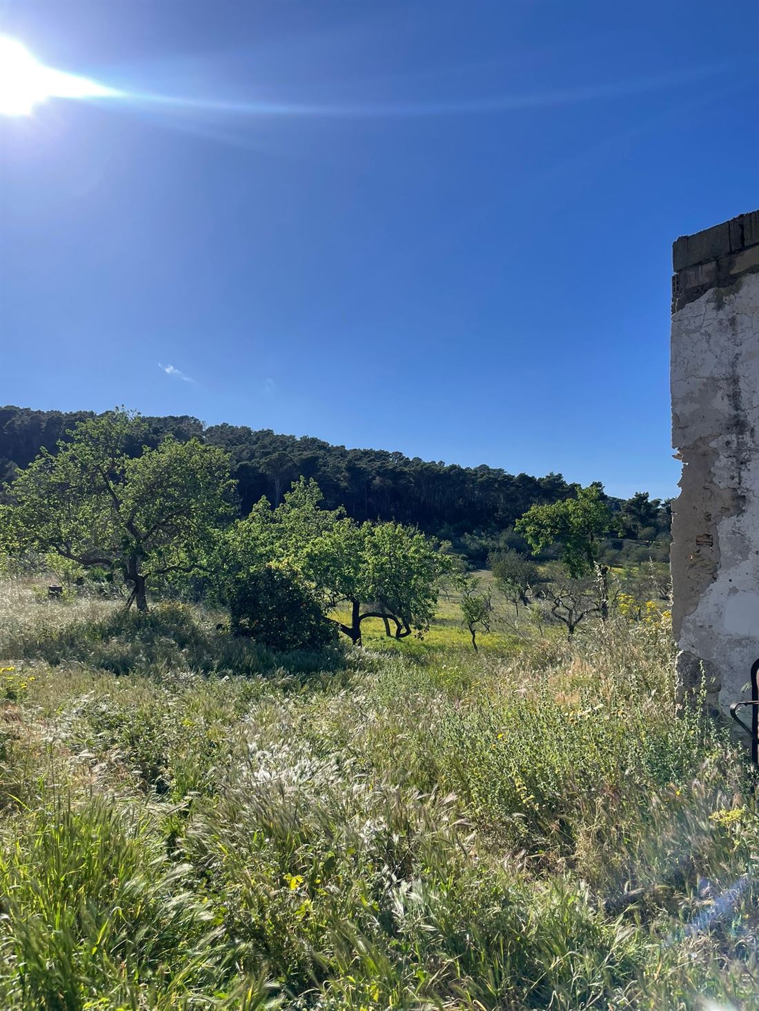 Ruine to be rebuilt in the most picturesque location for sale
