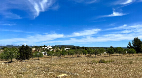 Amazing plot of 28.000 sqm in Benimussa near San Rafael with license