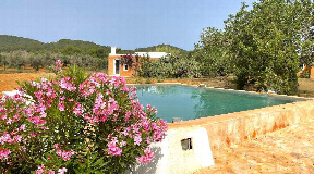Finca in the midst of unspoiled nature with guest house in San Mateo